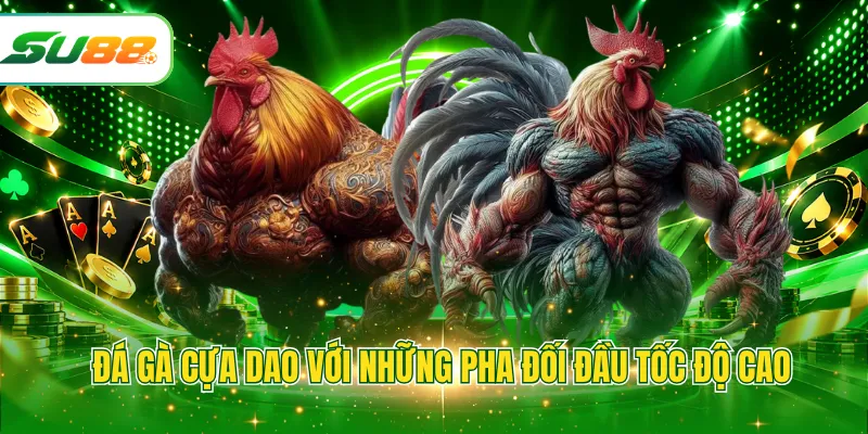 Đá gà cựa dao với những pha đối đầu tốc độ cao