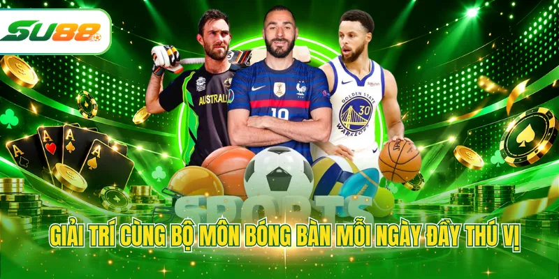 Giải trí cùng bộ môn bóng bàn mỗi ngày đầy thú vị