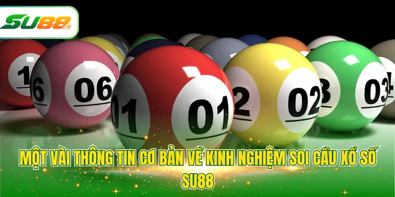 Một vài thông tin cơ bản về kinh nghiệm soi cầu xổ số SU88