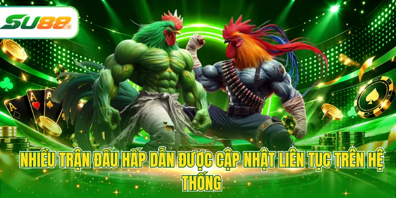 Nhiều trận đấu hấp dẫn được cập nhật liên tục trên hệ thống